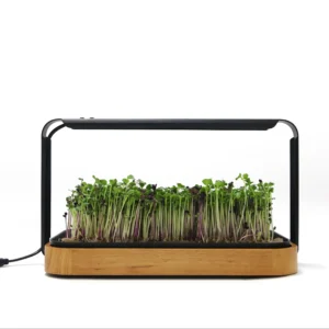 Compact hydrocultuur kweeksysteem met bamboe basis en zwarte LED-lamp, met microgroenten op tray