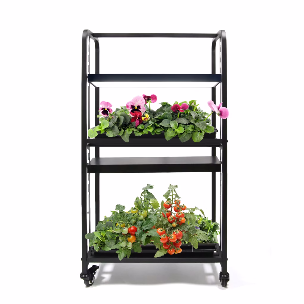 Zwart kweekrek met full-spectrum LED-groeilampen (2 lagen) met boven viooltjes en onder tomatenplanten op witte achtergrond.