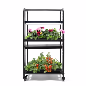 Zwart kweekrek met full-spectrum LED-groeilampen (2 lagen) met boven viooltjes en onder tomatenplanten op witte achtergrond.