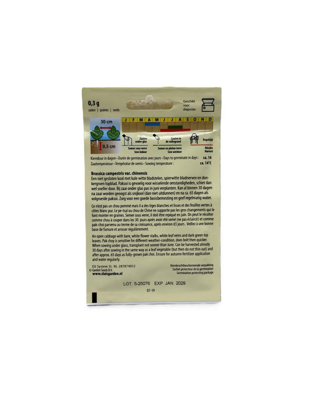 Paksoi Green Fortune F1 – Zaden - Afbeelding 2