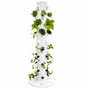 Florivex hydrocultuur toren met sla, kruiden en groenten