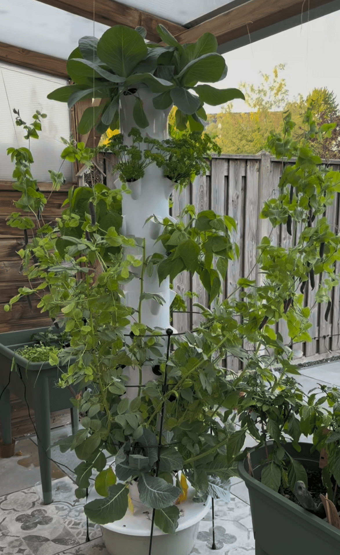 Florivex hydrocultuur toren met groenten, kruiden en groene planten