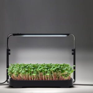 Zwarte microgreens kweekset met LED-lamp en jonge scheuten op een donkere achtergrond