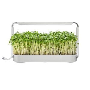 Microgroenten kweekset met witte LED-lamp (timer en dimmer) met groene microgreens in kweekbak