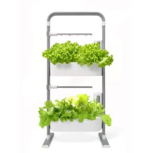 2-laags hydrocultuur kweeksysteem met sla en full spectrum LED verlichting