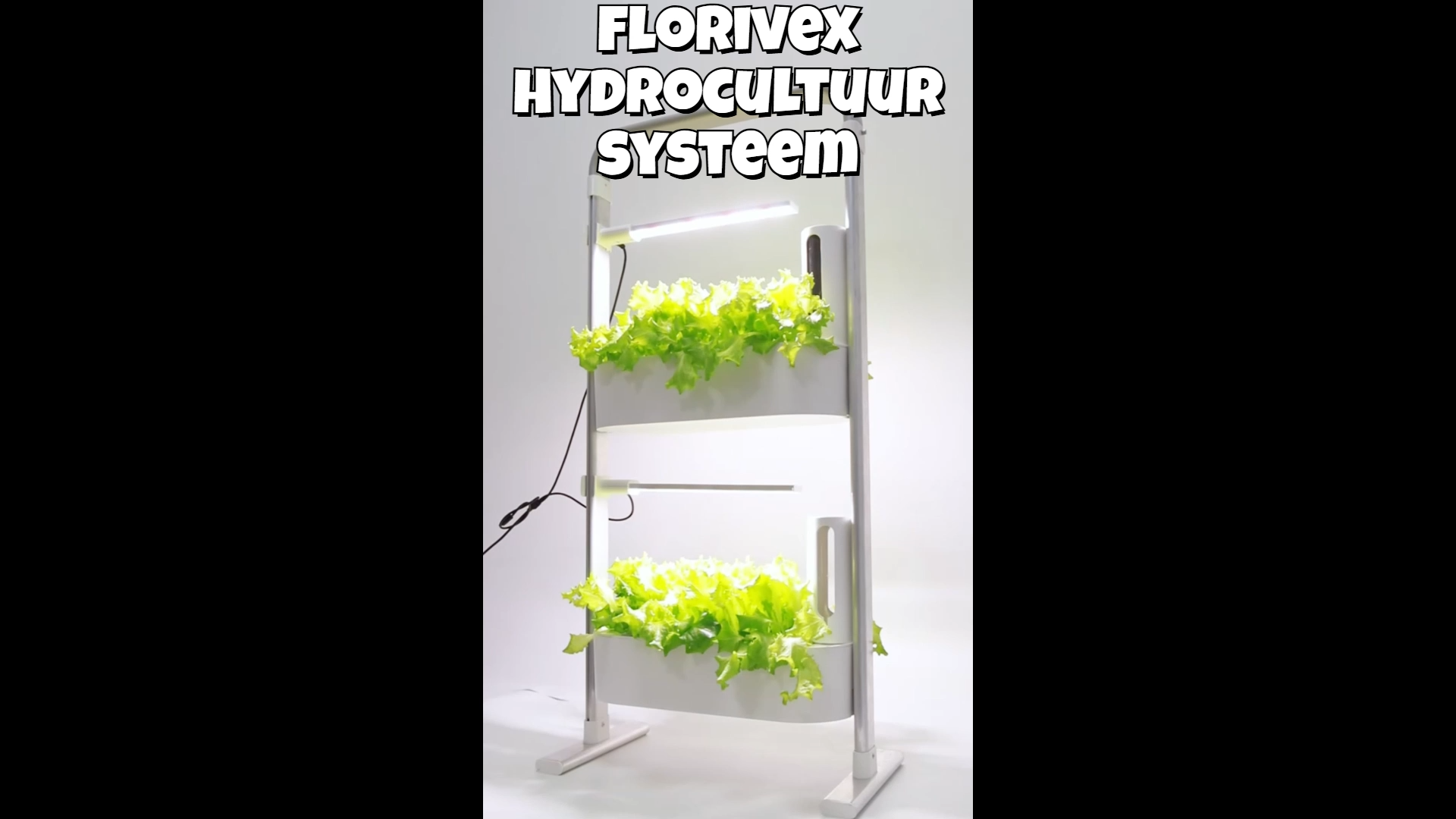 Voorbeeld van de productvideo